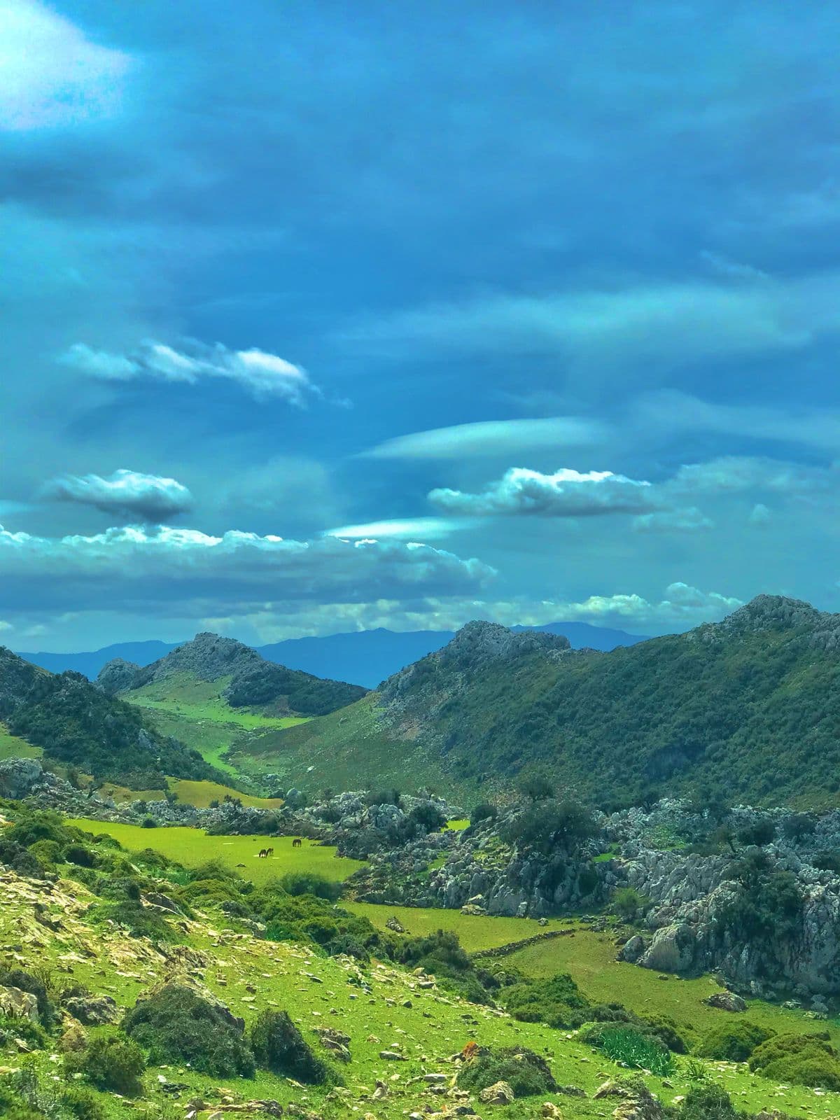 7 days tour from Tangier to Marrakech via Sahara desert